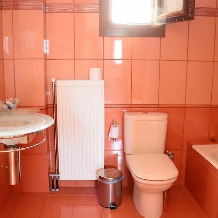 Asterida Σταυρός