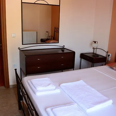 Asterida Σταυρός